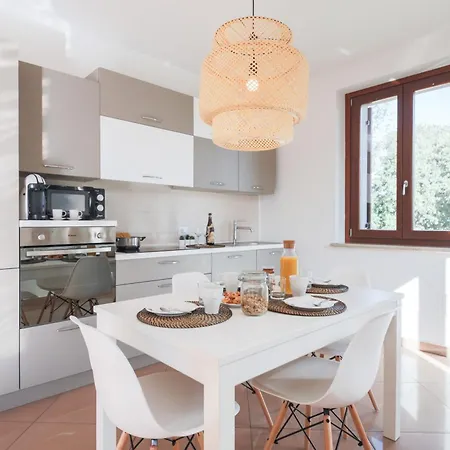 Orchidea E Glicine * 솜마캄파냐