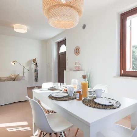 Orchidea E Glicine Daire *